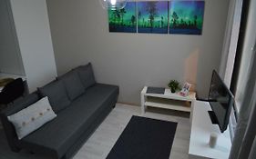 Aurora Haven Rovaniemi Modern DT Apartment -Self Check-In&Free Wifi-